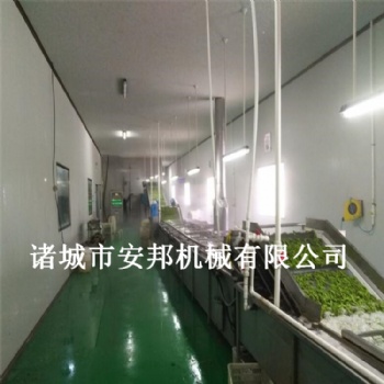 全自動毛豆清洗機 清洗干凈售后無憂