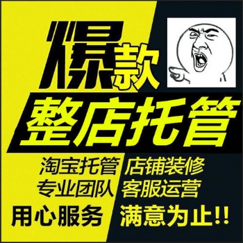 壽光網(wǎng)店代管理_淘寶代運(yùn)營(yíng)_美工裝修設(shè)計(jì)_拼多多外包推廣