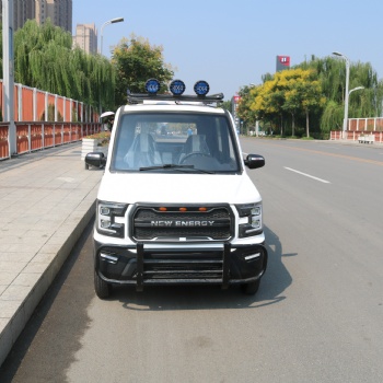 新款鐵殼小型電動汽車 成人四輪電動車