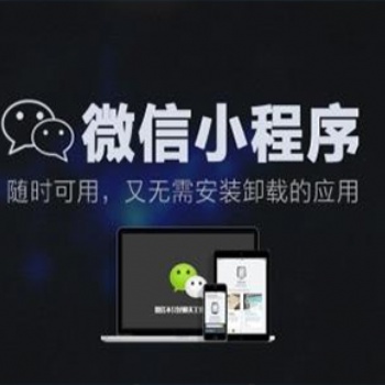 網站開發、公眾號小程序定制設計開發、商標注冊