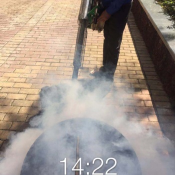 海南蚊蟲防治服務，殺伊蚊滅蚊蟲