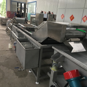 果蔬辣菜清洗流水線 蔬菜菌類連續式清洗機 廠家定制