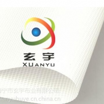 生產供應PVC帶底膜噴繪網，白色網格布