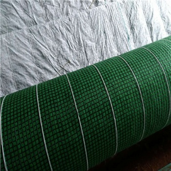 廠家批發(fā)加筋生態(tài)椰絲毯 邊坡綠化生態(tài)草毯 護(hù)坡抗沖生物毯
