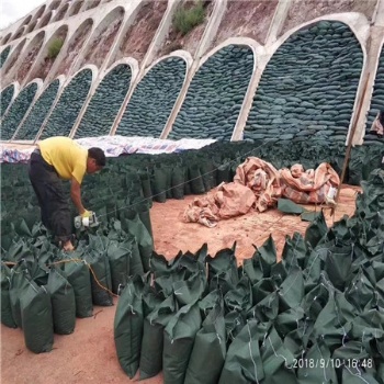 廠家綠化護坡防水土流失生態(tài)袋 綠色土工布袋 結(jié)實耐用生態(tài)袋
