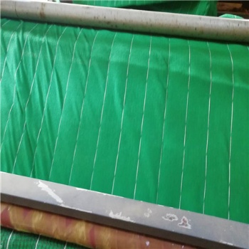 廠家批發(fā)環(huán)保植生毯多層抗沖生物毯高速公路綠化護(hù)坡椰絲毯