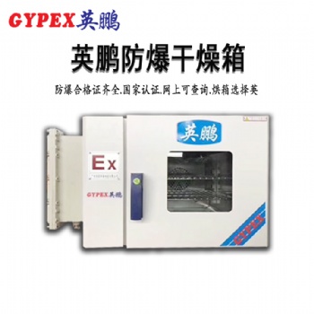 防爆恒溫鼓風干燥箱-油墨廠