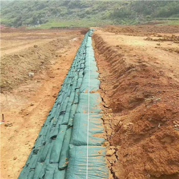 加工公路邊坡護坡聚丙烯生態(tài)袋 綠色抗老化生態(tài)袋 帶草籽防坡袋