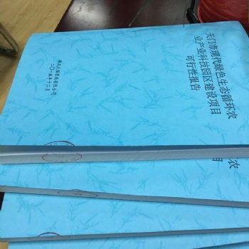 深圳市代寫項目資金申請報告