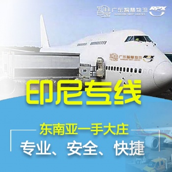 國(guó)內(nèi)到印尼空運(yùn)雙清 海運(yùn)散貨拼箱雙清到門