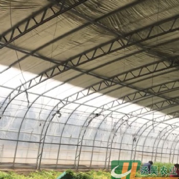雙膜骨架大棚 雙梁雙膜溫室大棚 C型鋼大棚骨架 抗風抗壓 螺絲固定拆卸方便