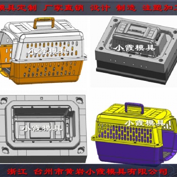PE寵物屋注塑模具 PE保溫箱注塑模具