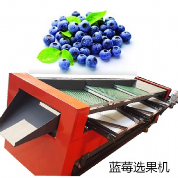 煙臺偉明藍莓分選篩子機器