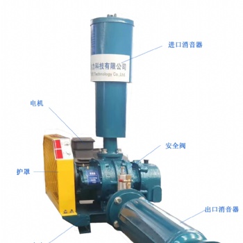 現(xiàn)貨供應(yīng)羅茨鼓風(fēng)機增氧曝氣污水處理攪拌用低噪音羅茨鼓風(fēng)機