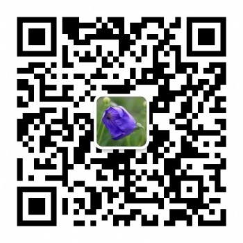 2020年美國邁阿密世界衛(wèi)生紙展
