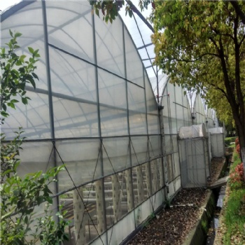 連棟薄膜溫室 薄膜溫室造價 溫室施工 溫室大棚
