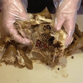 商丘市大別山麻椒雞技術(shù)培訓 手撕大排骨技術(shù)學習 鹵肉熟食店培訓基地加盟