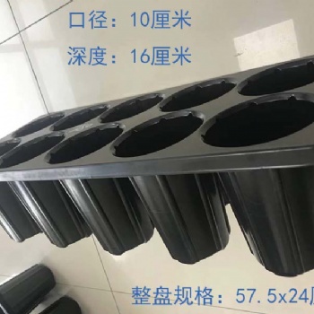 10孔林木育苗穴盤苗木盤