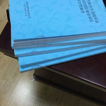 上海市代寫項目商業計劃書