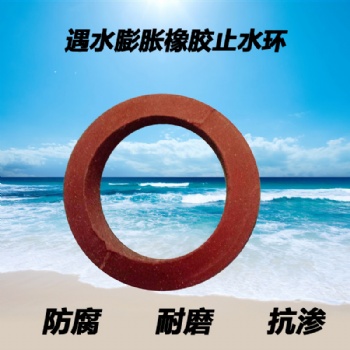 遇水膨脹橡膠止水環(huán) 對拉螺栓止水圈 現(xiàn)貨量大從優(yōu)