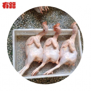 冷凍生鮮雞產(chǎn)品白條雞 蛋雞老母雞批發(fā)，種雞老母雞廠家 山東有路食品長期供應(yīng)