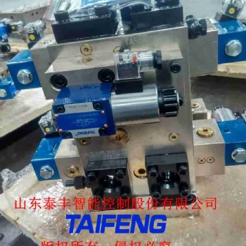 山東泰豐液壓廠家YN32-1250BXCV二通插裝閥