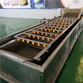 廠家生產全自動蔬菜清洗機 秋葵氣泡清洗機