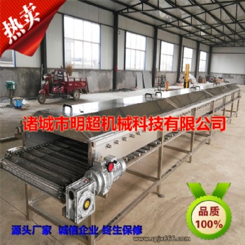 商用果蔬清洗機 大型全自動氣泡清洗機 高壓噴淋果蔬清洗機