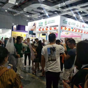 2020遼寧沈陽孕嬰童展覽會