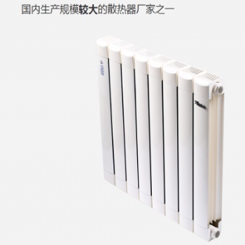 銅鋁復(fù)合暖氣片生產(chǎn)廠家 銅鋁復(fù)合暖氣片TLF132-60/1.2-1300價(jià)格詳細(xì)介紹