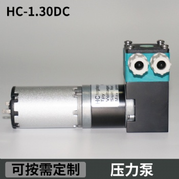 美創(chuàng)力噴碼機微型齒輪壓力泵