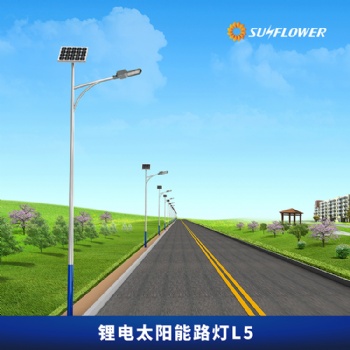 向日葵L5節(jié)能智能型鋰電池6米40W太陽能LED路燈廠家
