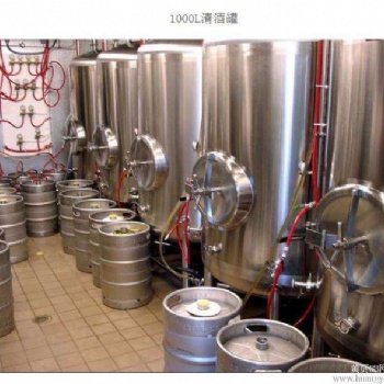 小型自釀設備廠家