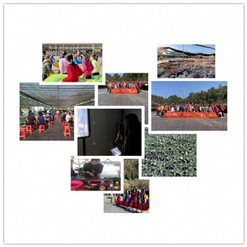 周末坪山農家樂野炊燒烤公司團建一日游