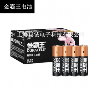 金霸王5號堿性電池 MN1500 LR6 1.5V