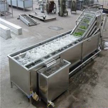 廠家生產全自動山野菜噴淋式氣泡清洗機