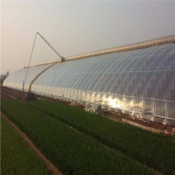 日光蔬菜大棚 溫室大棚工程