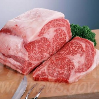 深圳進口凍肉**代理公司
