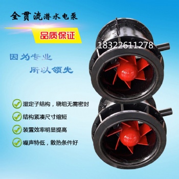 廣東珠海廠家供應QGWZ系列型號大流量全貫流潛水泵