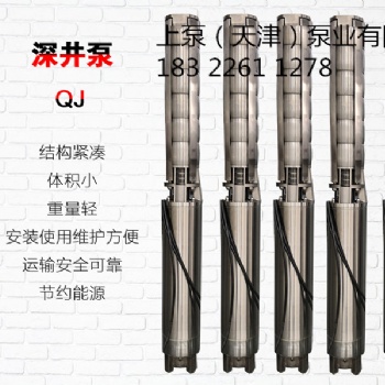 沿海城市取水耐腐蝕QH系列不銹鋼潛水泵