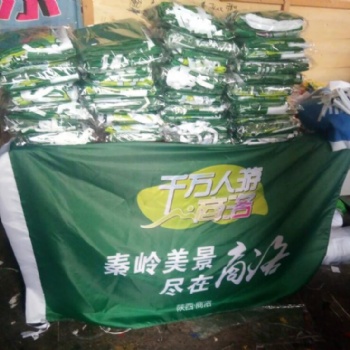 旗幟廠家 定做彩旗 廣告旗 西安仿古旗設(shè)計(jì)定做