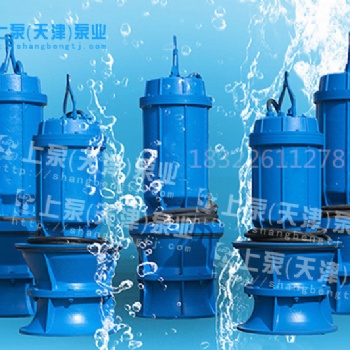 珠海市廠家供應(yīng)城市的供水大流量ZLB系列軸流泵