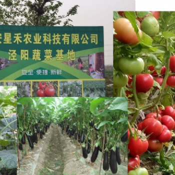 有蔬菜基地的蔬菜配送服務公司