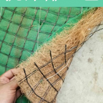 供應公路護坡生態毯工程施工方案 抗沖植草毯