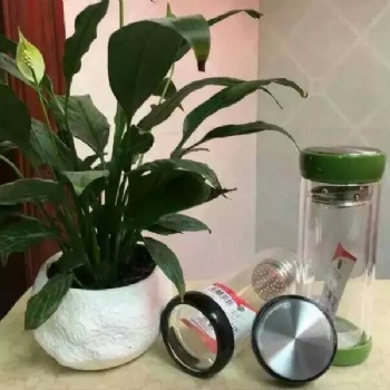 西安禮品玻璃杯印字 品牌希諾水杯 西安杯子銷售廠家