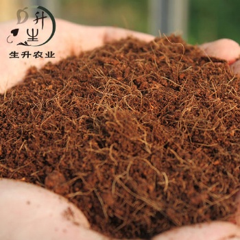 青島巨暉幫你解決椰糠** 為您**節省時間