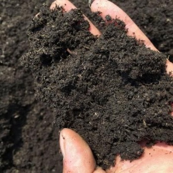 客土噴播基材 綠化材料 有機肥 草炭土
