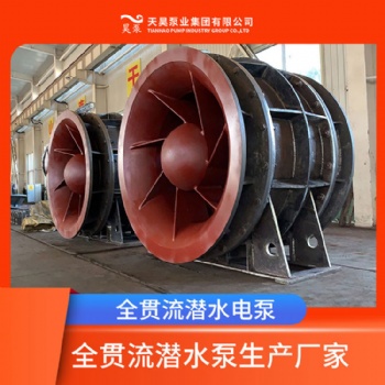天津廠家現貨直供QGWZ全貫流泵潛水泵