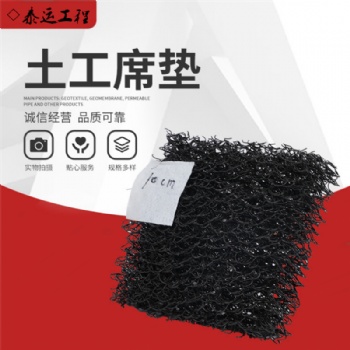 排水土工席墊///土工席墊批發(fā)廠家