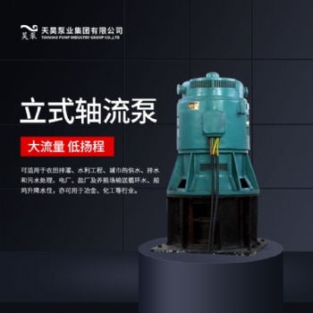 強排用4.0ZLB-9.5立式軸流泵廠家現(xiàn)貨